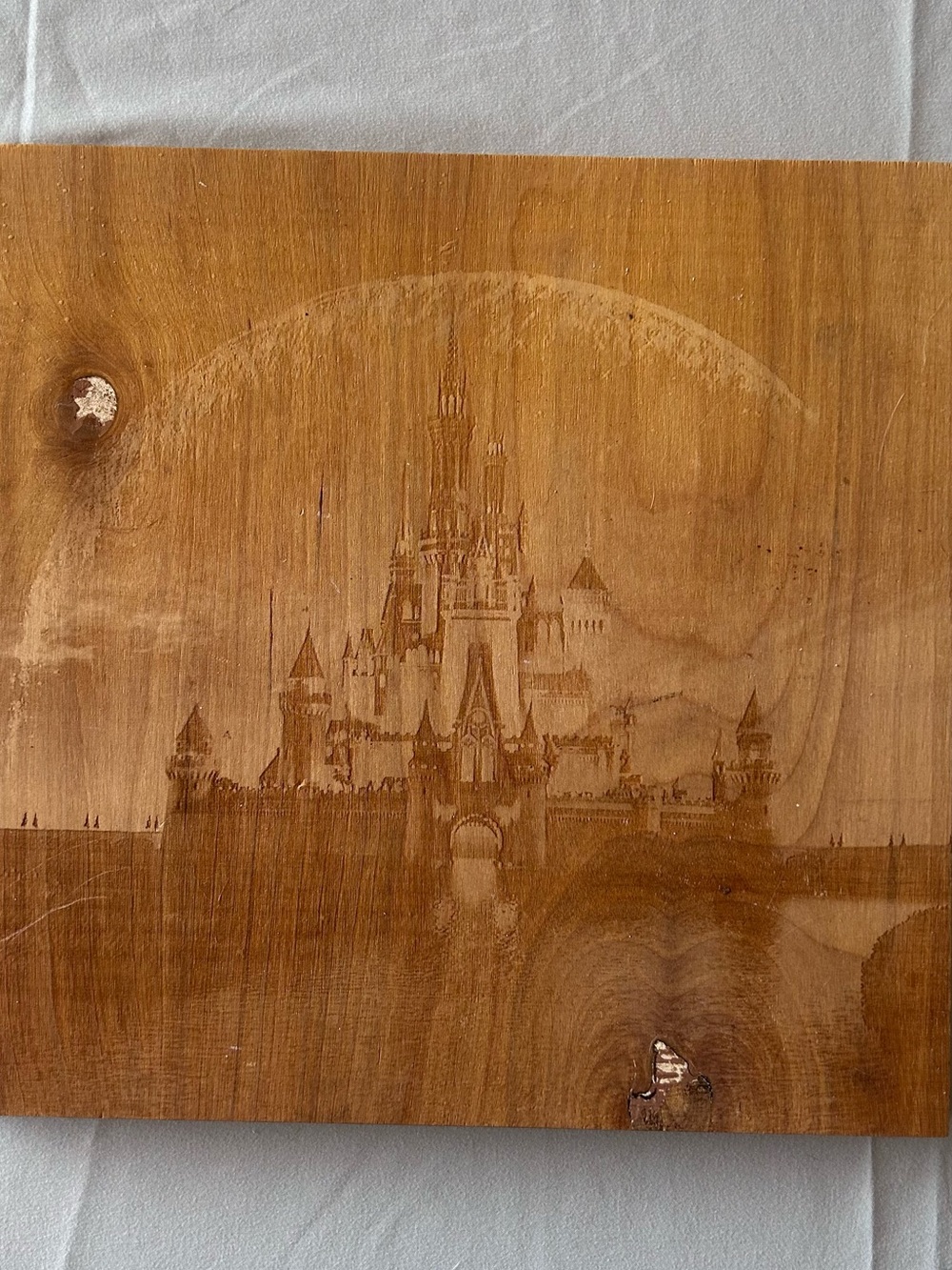 Sleeping Beauty Castle Wooden Art